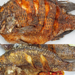 Roasted Tilapia(Each)